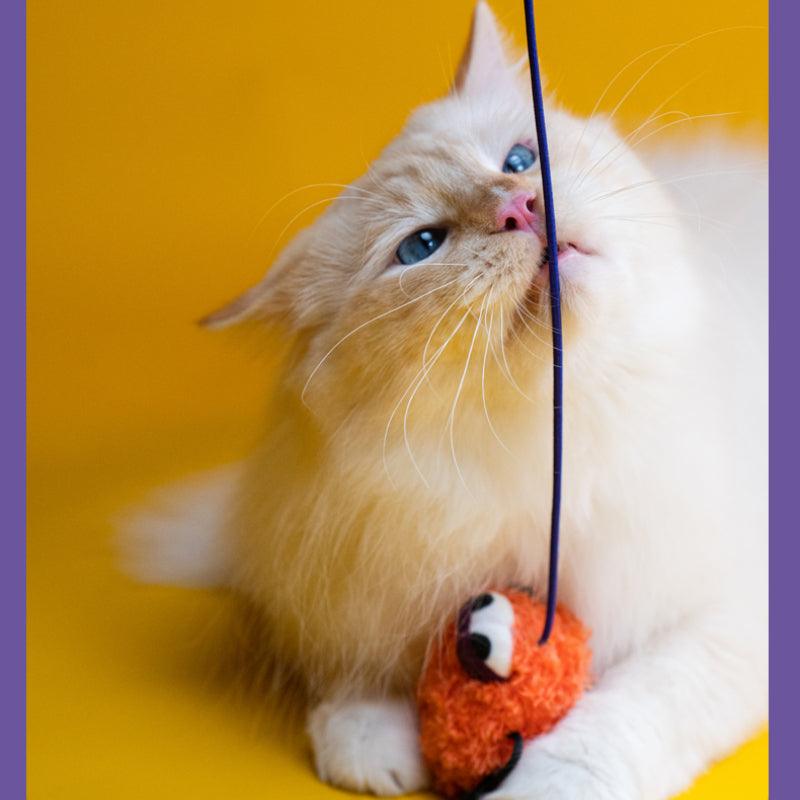 PETSVILLE® "Eerie Night Stroll" Cat Teasers - KIKOPALS