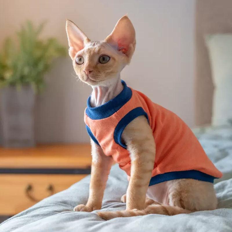 GINGERAIN® Blue & Orange Striped Cat Vest - KIKOPALS