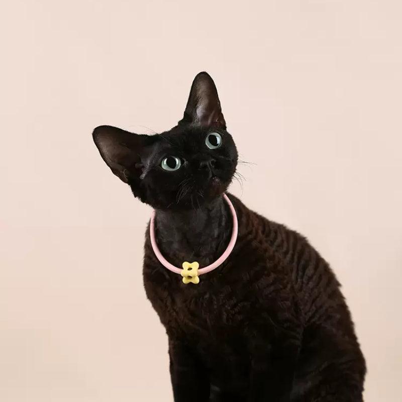 Dottylab® Floral Pendant Pet Collar - KIKOPALS