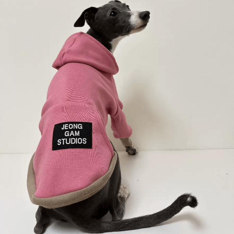 A HUNTING DOG® Dog Faux Collar Hoodie - KIKOPALS