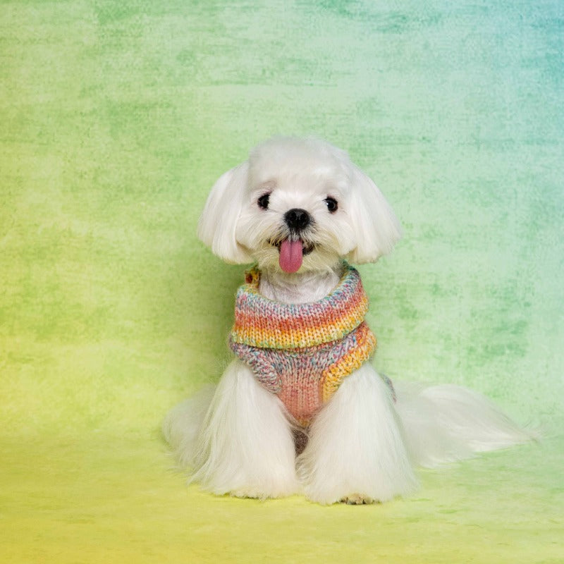 PalettePet® Rainbow Collar Knitwear for Dogs
