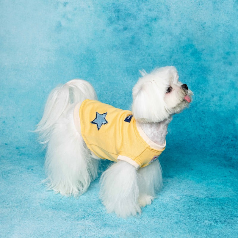 PalettePet® Star Pocket Sweater for Dogs – Yellow