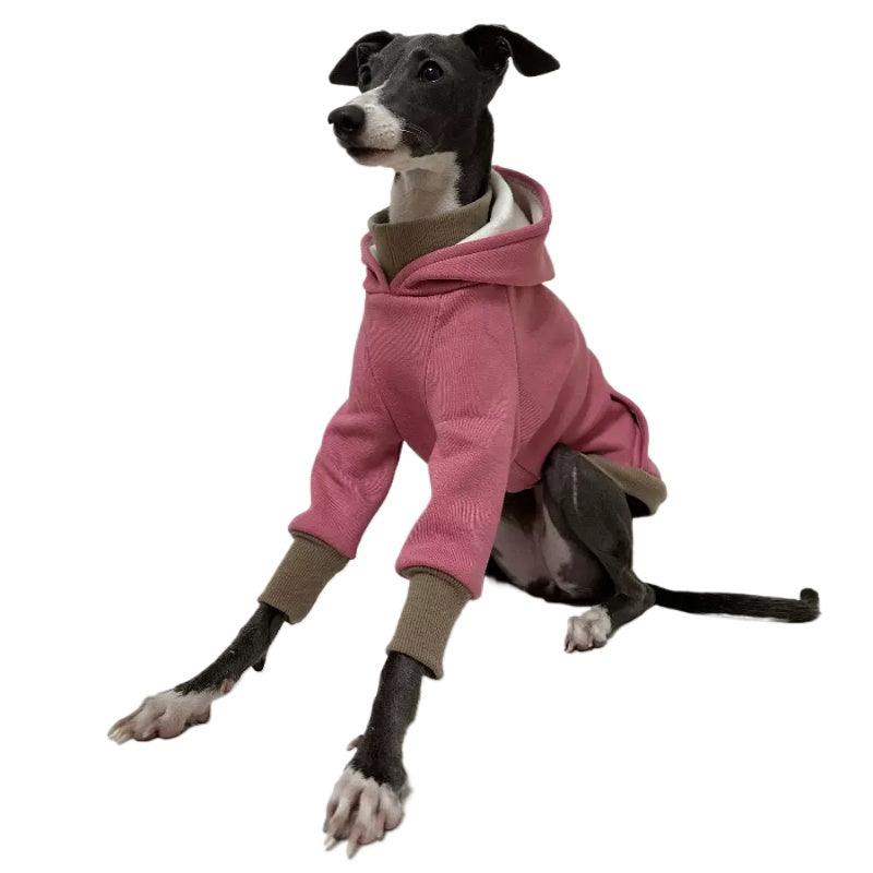 A HUNTING DOG® Dog Faux Collar Hoodie - KIKOPALS