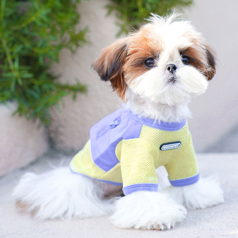 MookiPet® Breathable Mesh T-Shirt for Dogs – Yellow, Quick-Dry, and Practical
