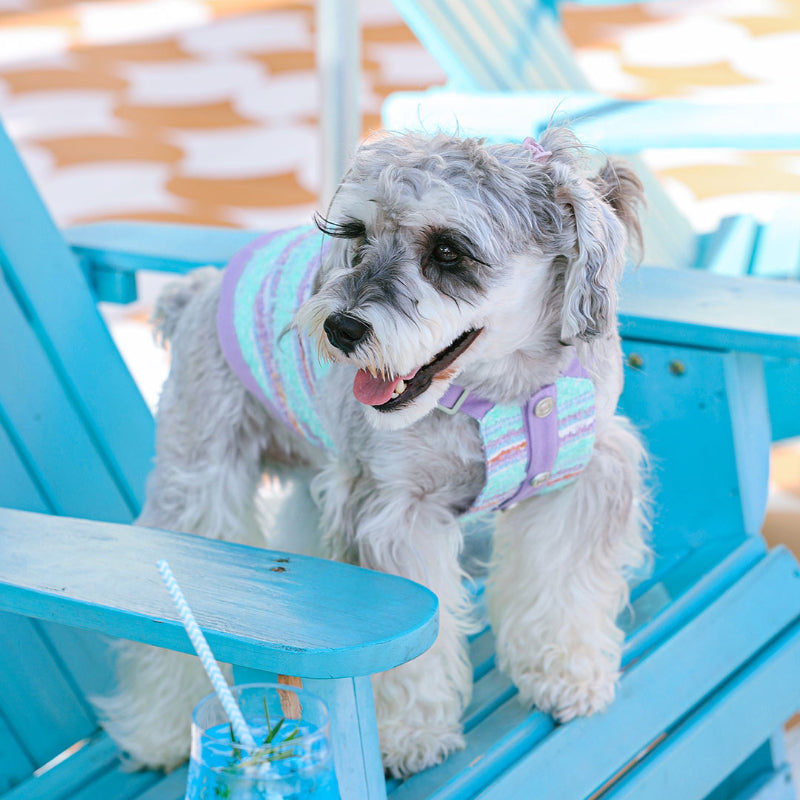 MookiPet® Colorful Striped Dog Vest