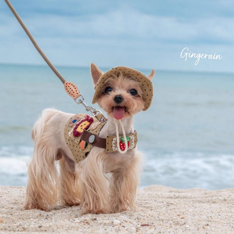 GINGERAIN® Gray Spotted Denim Dog Harness Leash & Hat Kit - KIKOPALS