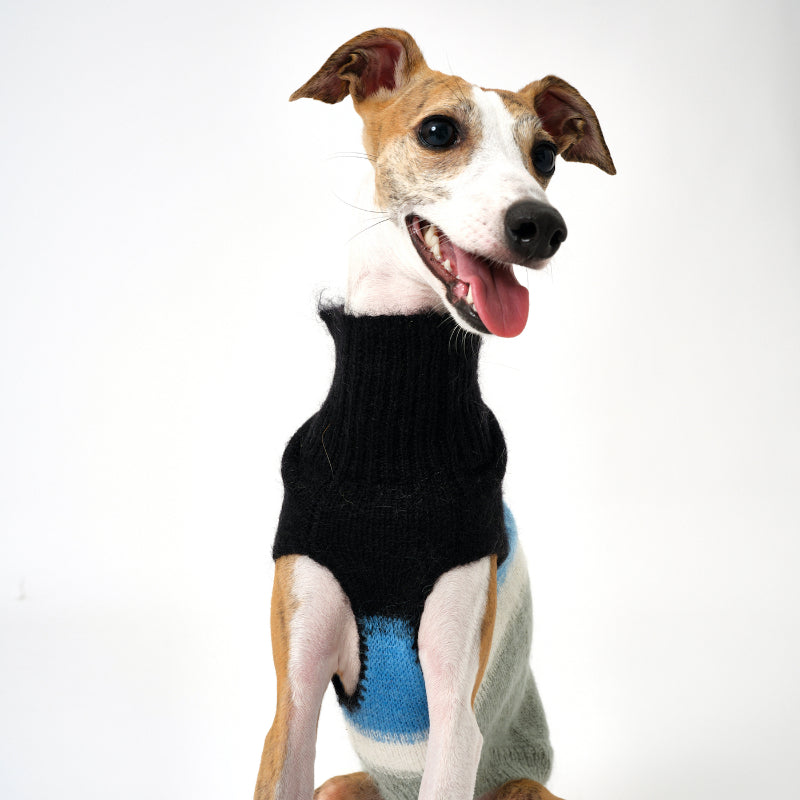 Nuoz® Gradient Color Sleeveless Knit Vest for Dogs – Mohair Wool Blend