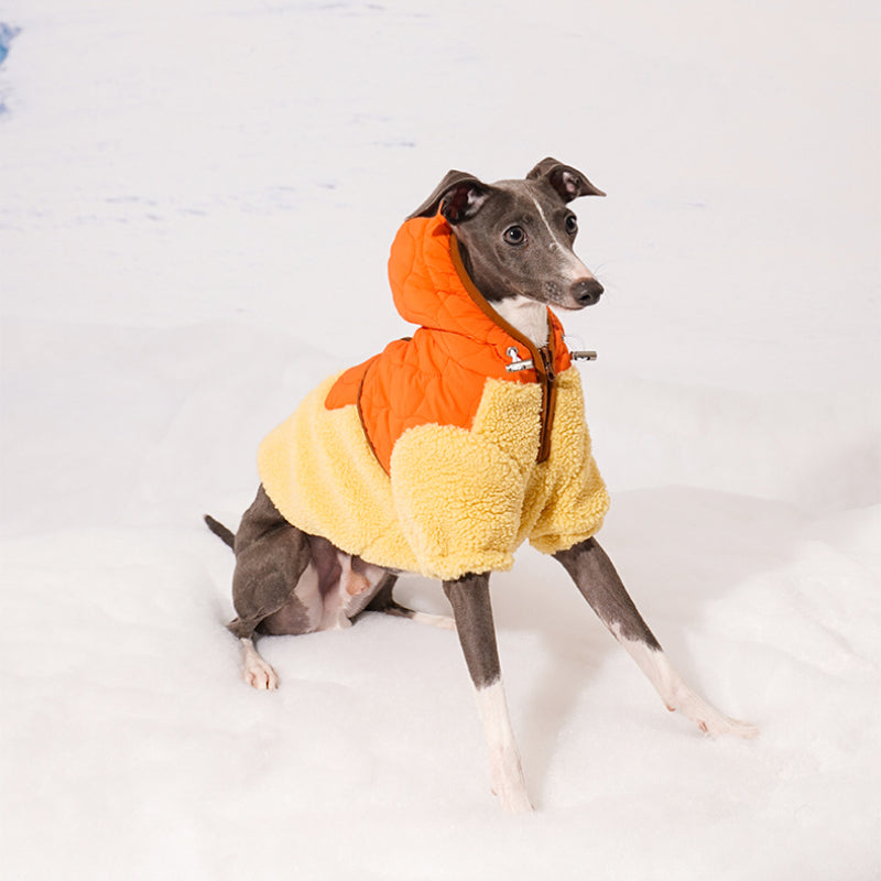 ZEZE® Windproof Pet Jacket for Small Dogs