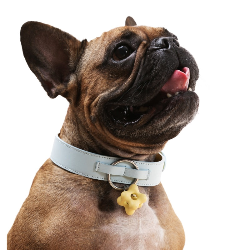 Dottylab® Leather Flower Pet Collar