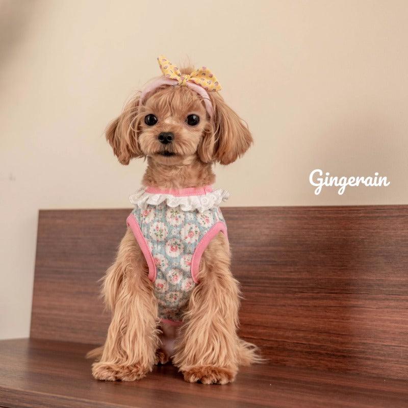 GINGERAIN® Dog Vest with Collar - KIKOPALS