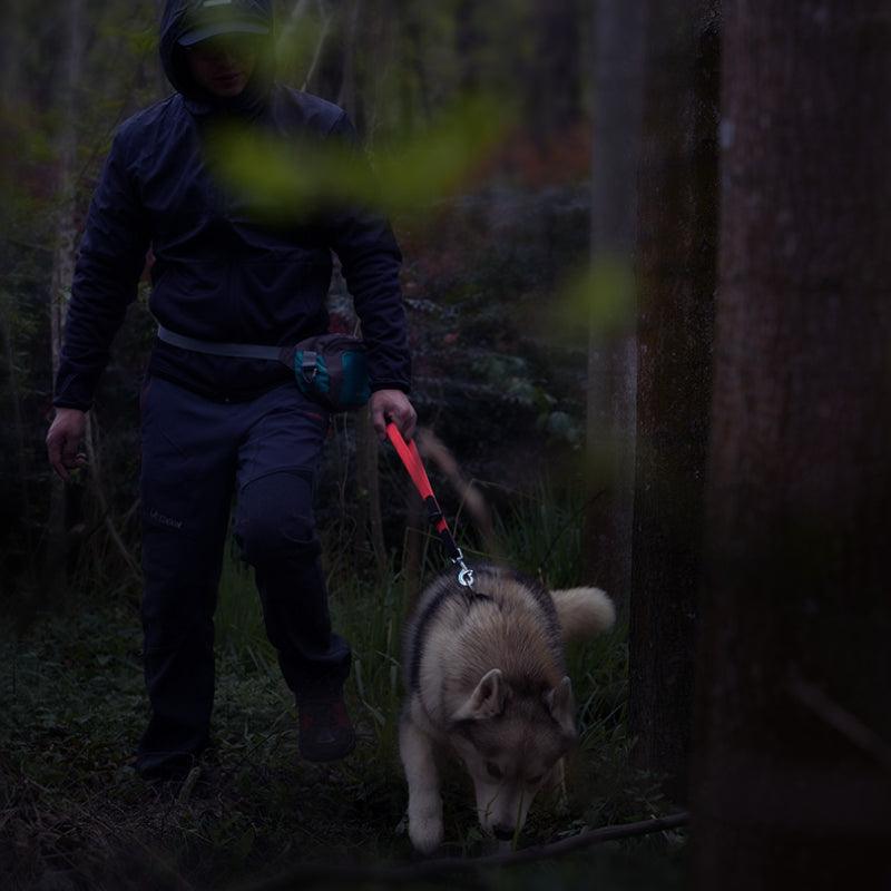 BeauGo® Dog/Cat Leash for Small Pet - KIKOPALS