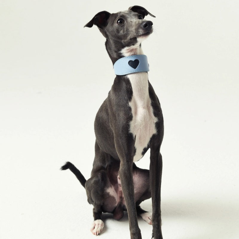 iiNeed® Leather Heart Collar for Whippets Dog
