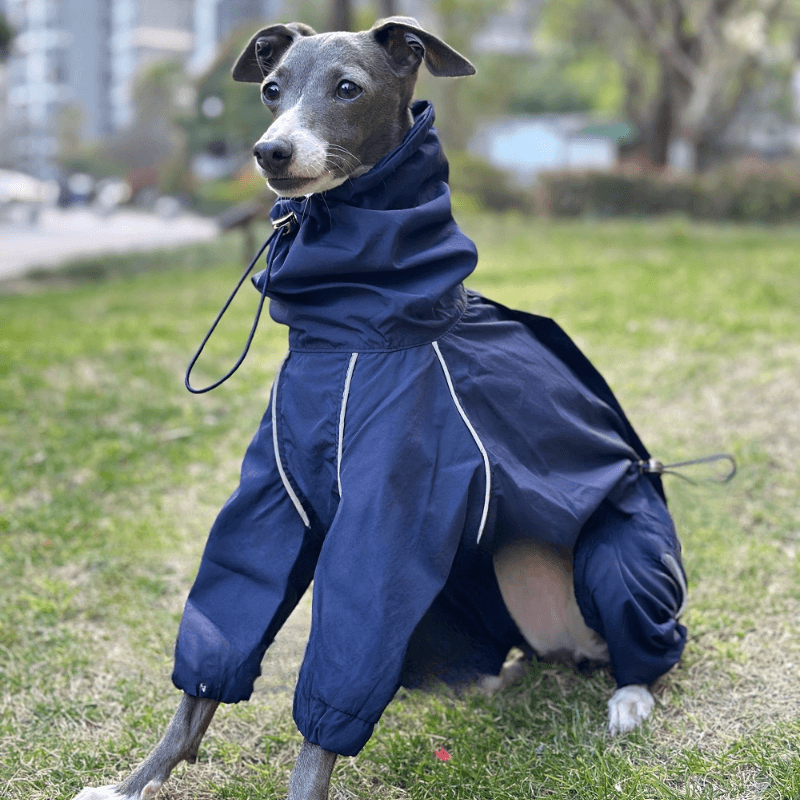 A HUNTING DOG® Dog Waterproof Jacket - KIKOPALS