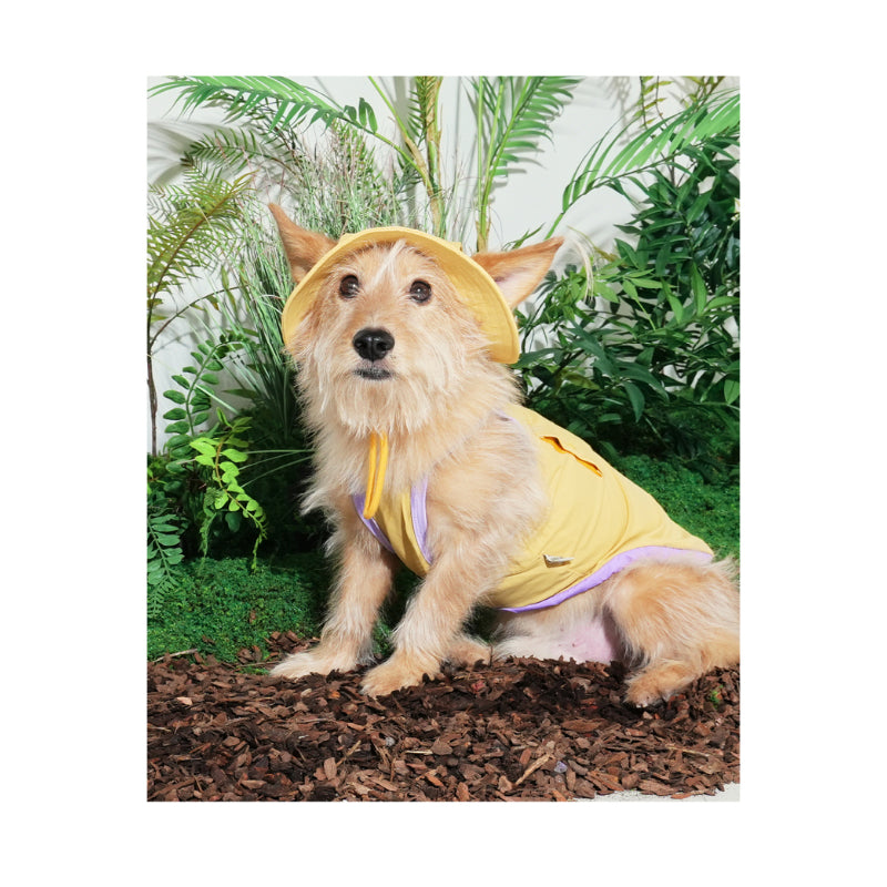 PuppyGallery® Cooling Bucket Hat for Dogs