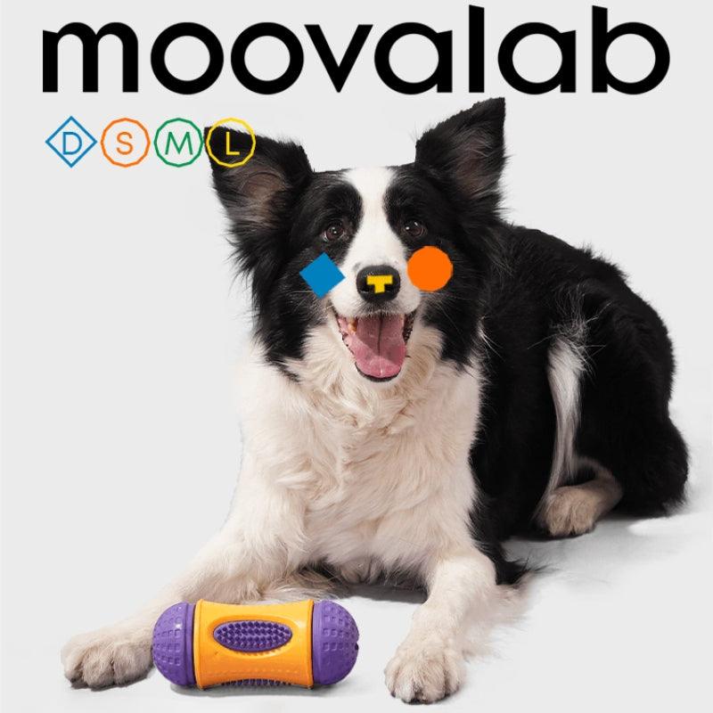 MoovaLab® Durable Dog Drum Treat Dispenser - KIKOPALS