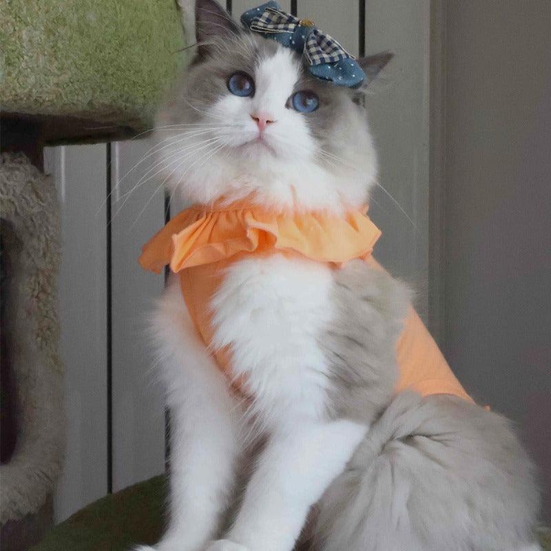 Meoof® Cat Neutering Clothing - KIKOPALS