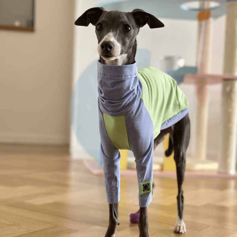 A HUNTING DOG® Dog High-neck Color-blocked T-shirt - KIKOPALS