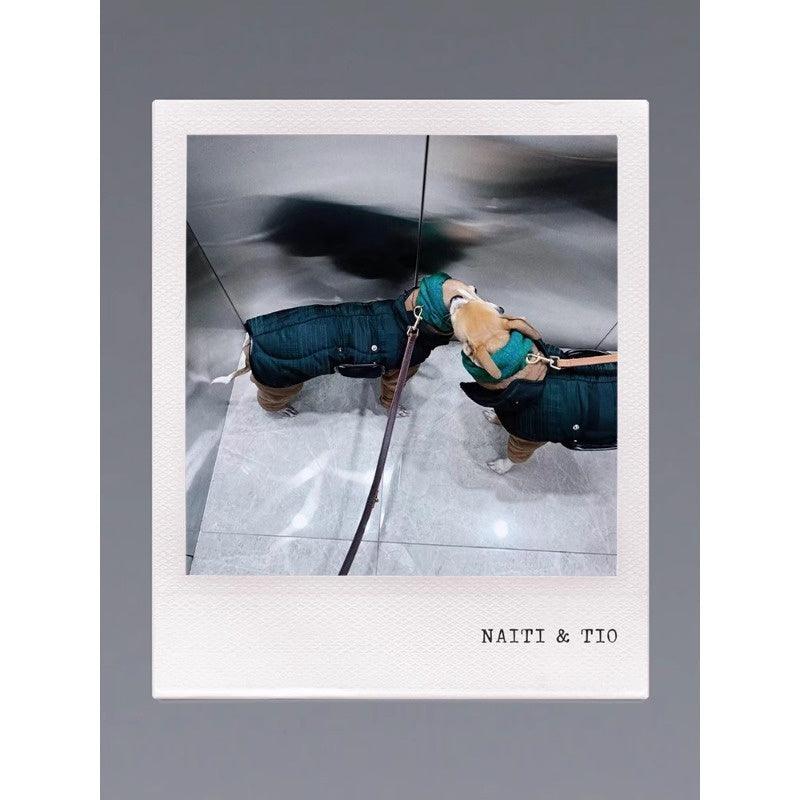 GASU® Woolen Pet Snood - KIKOPALS