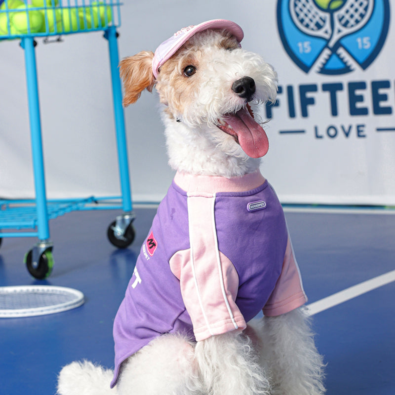 MookiPet® Ear-exposing Baseball Cap for Dogs