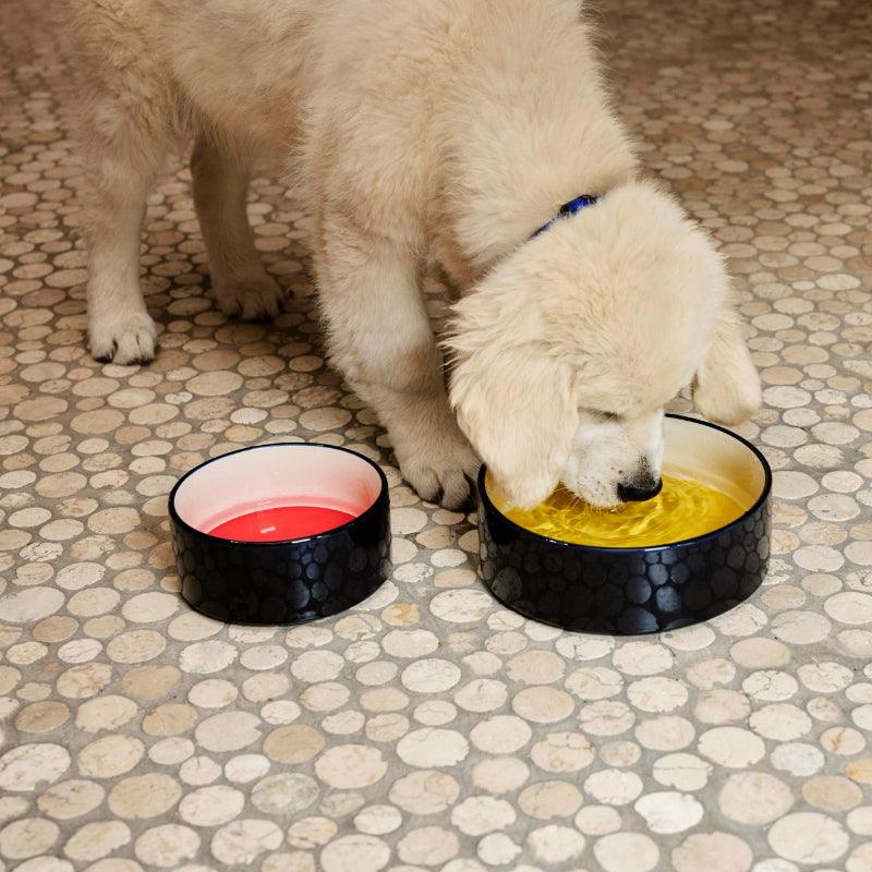 HAY® Pet Bowl - KIKOPALS