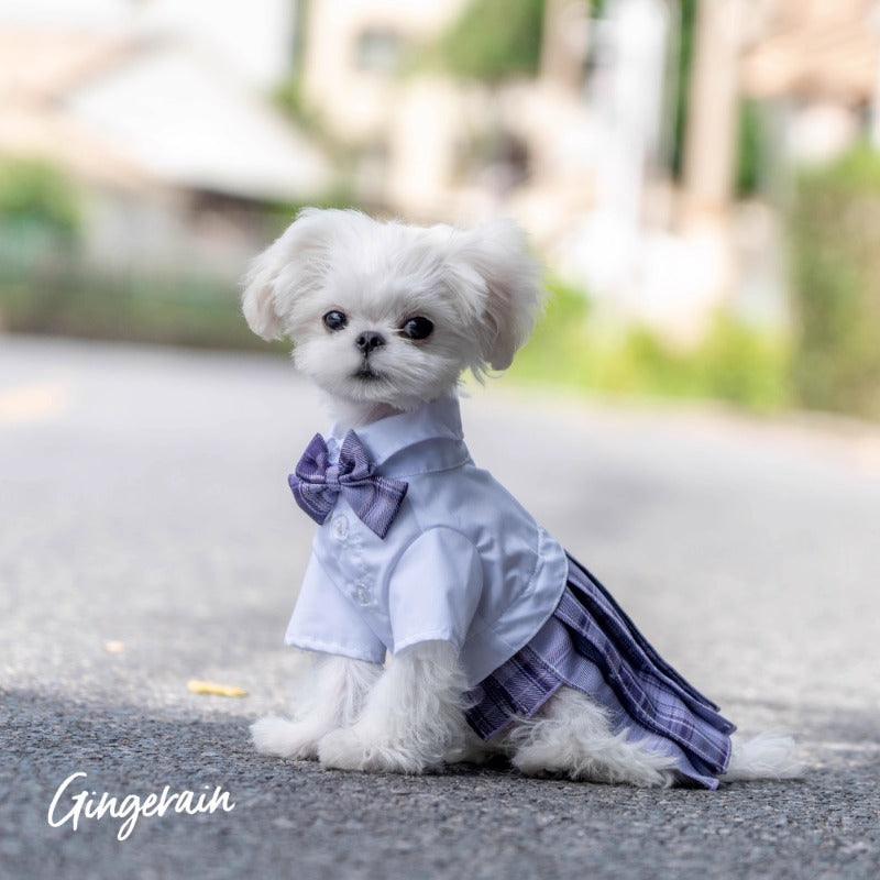 GINGERAIN® Pet JK Uniform School Dress - KIKOPALS