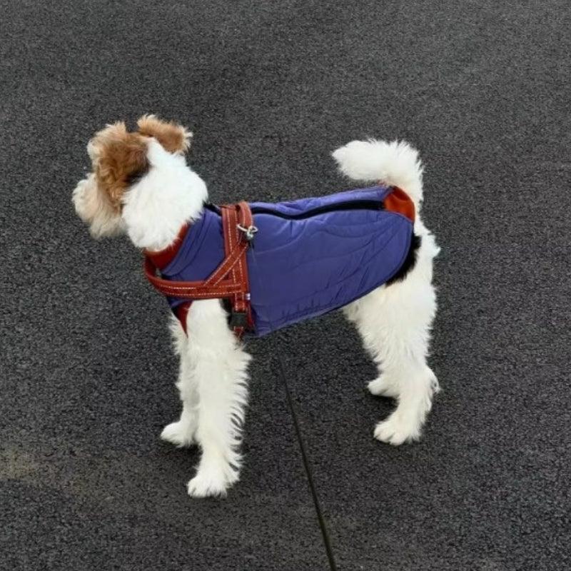 BBPRODUCTION® Galaxy Dog Winter Coat - KIKOPALS