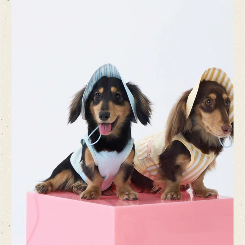 LIKAPAWS® Blue Cotton Dog Shirt & Sun Hat Set