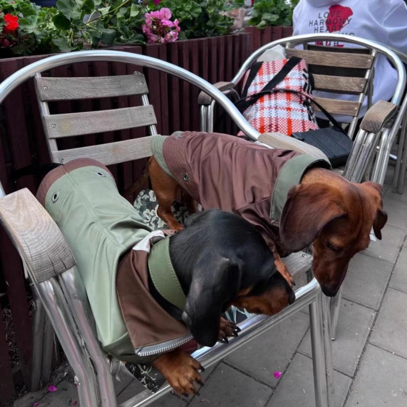 BBPRODUCTION® Windproof Dog Jacket with Leash Access - KIKOPALS