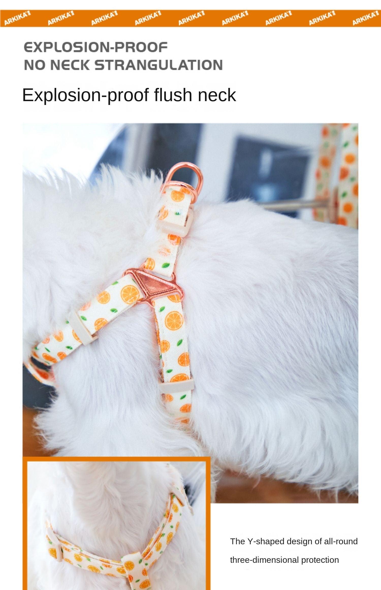 ARKIKA® Fruit-Colored Dog Harness Leash Kit - KIKOPALS