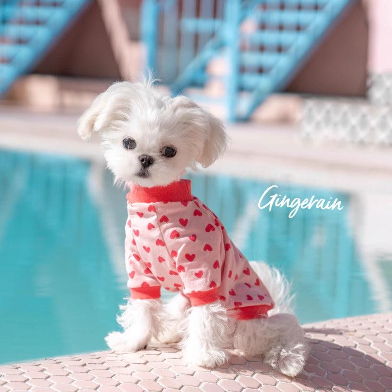 GINGERAIN® Lightweight Cotton Raglan Pet Sweatshirt - KIKOPALS