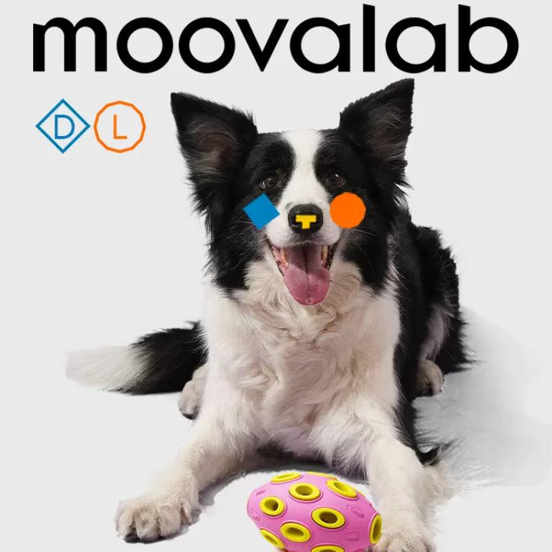 MoovaLab® Double-Layered Rubber Interactive Dog Toy - KIKOPALS