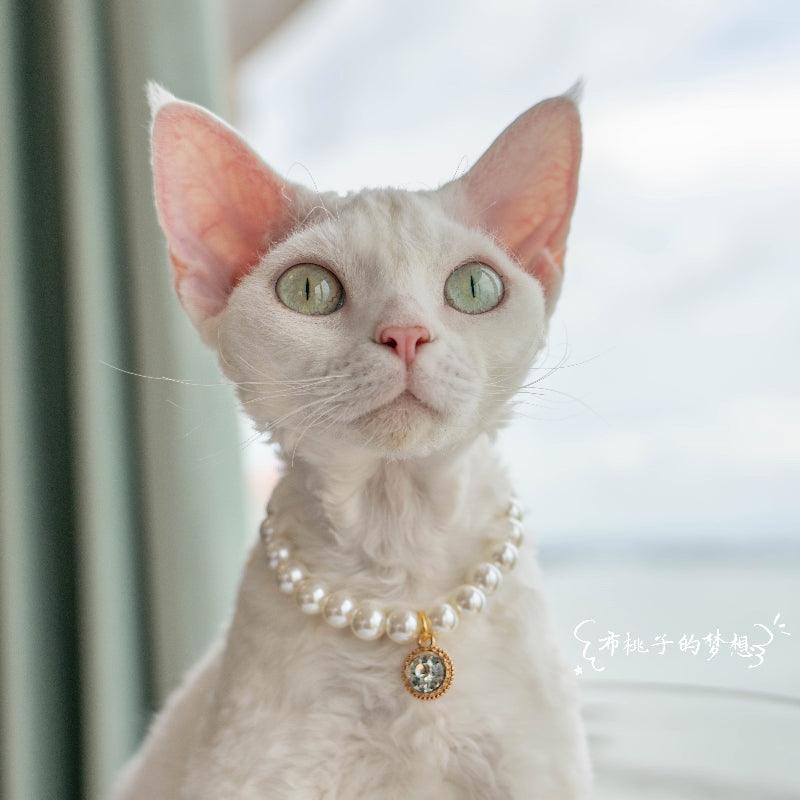 GINGERAIN® Cat Bow Tie Collar - KIKOPALS