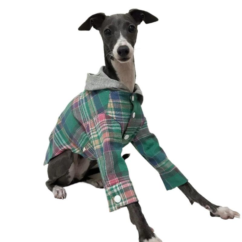 A HUNTING DOG® Dog Striped Hoodie - KIKOPALS