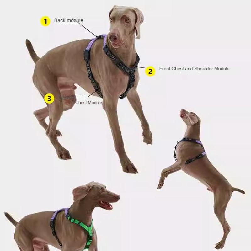 BXXM!PET® Pet Harness - KIKOPALS