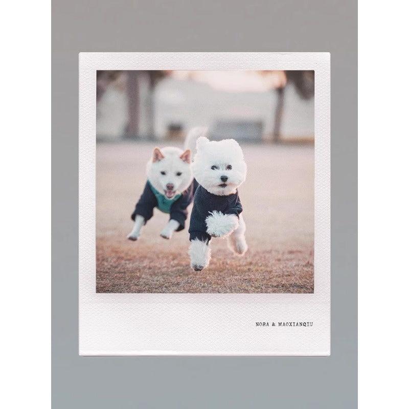 GASU® Versatile Cotton Pet Sweater - KIKOPALS