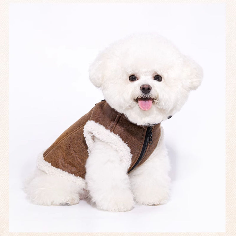 MookiPet® Suede Motorcycle Jacket for Dogs