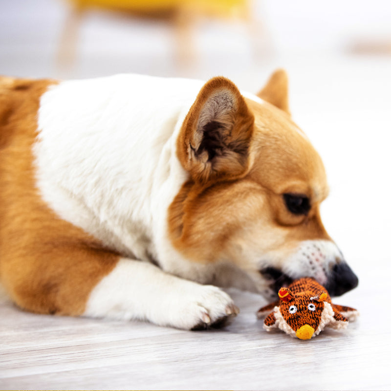GiGwi® Animal Series Squeaky Plush Dog Toy
