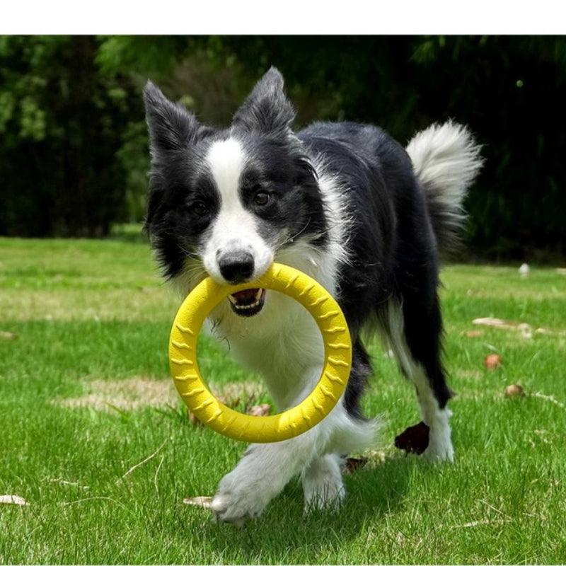 MoovaLab® Durable EVA Dog Ball Toy - KIKOPALS