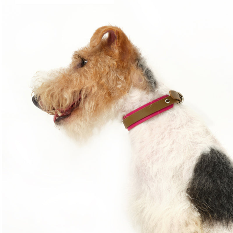 Nuoz® Double Color Leather Pet Collar for Dogs