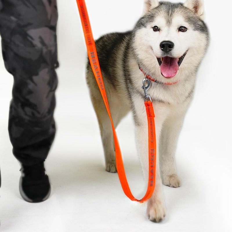 BeauGo® Orange Reflective Pet Leash - KIKOPALS