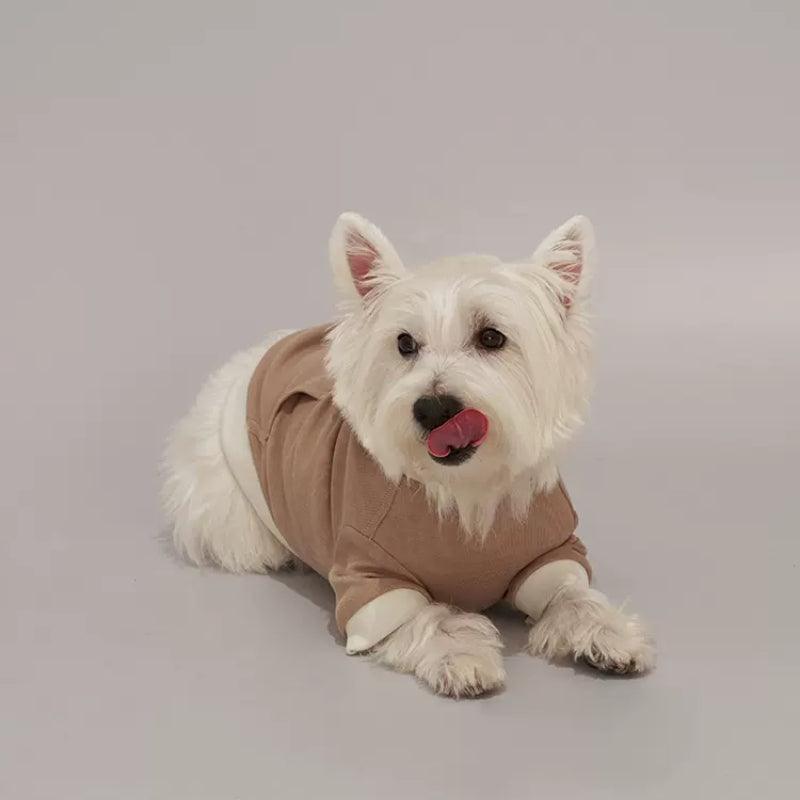 Dottylab® Teddy Ear Pet Hoodie - KIKOPALS