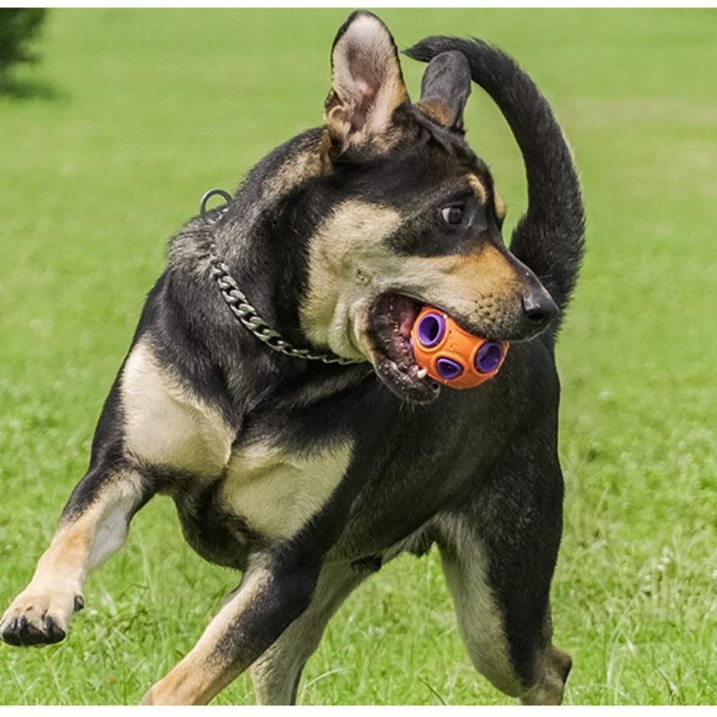 MoovaLab® Squeaky Ball Dog Toy - KIKOPALS