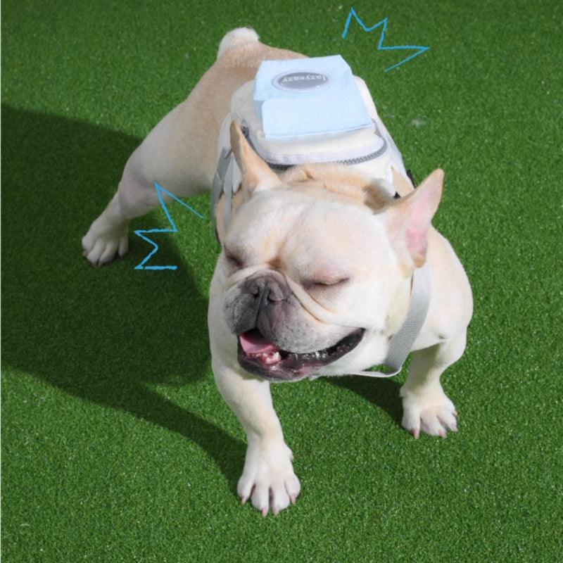 LazyEazy® Adjustable Dog Backpack - KIKOPALS