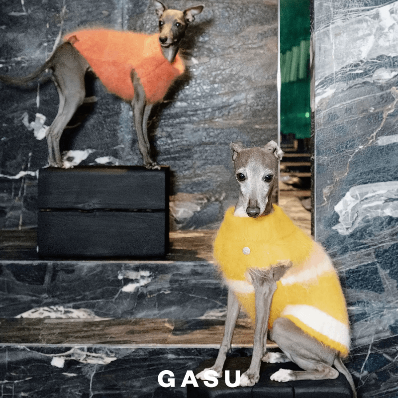 GASU® Pink Alpaca Dog Sweater Vest - KIKOPALS