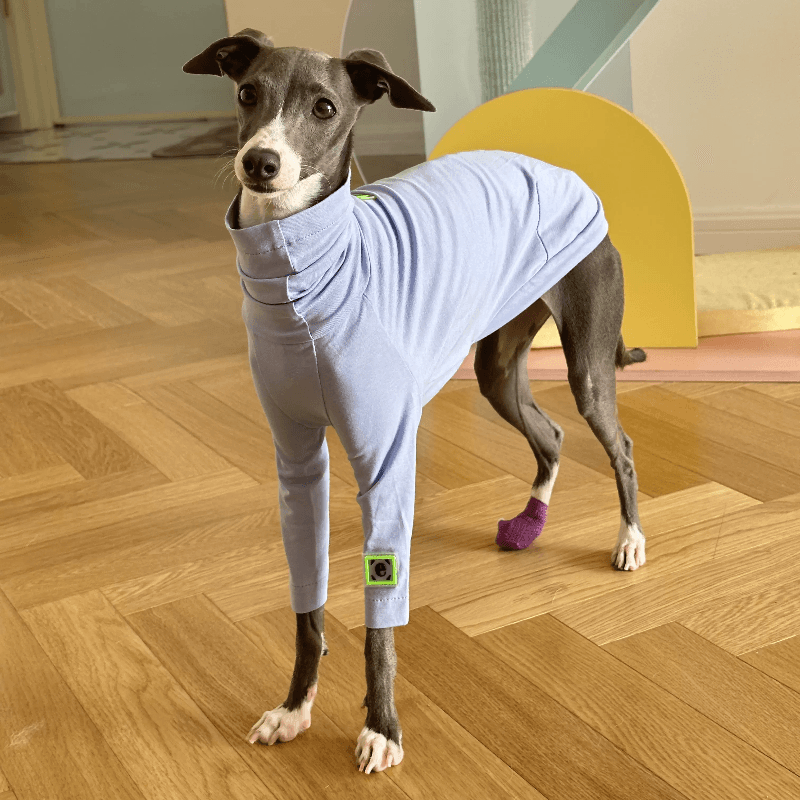 A HUNTING DOG® Dog fitted T-shirt - KIKOPALS