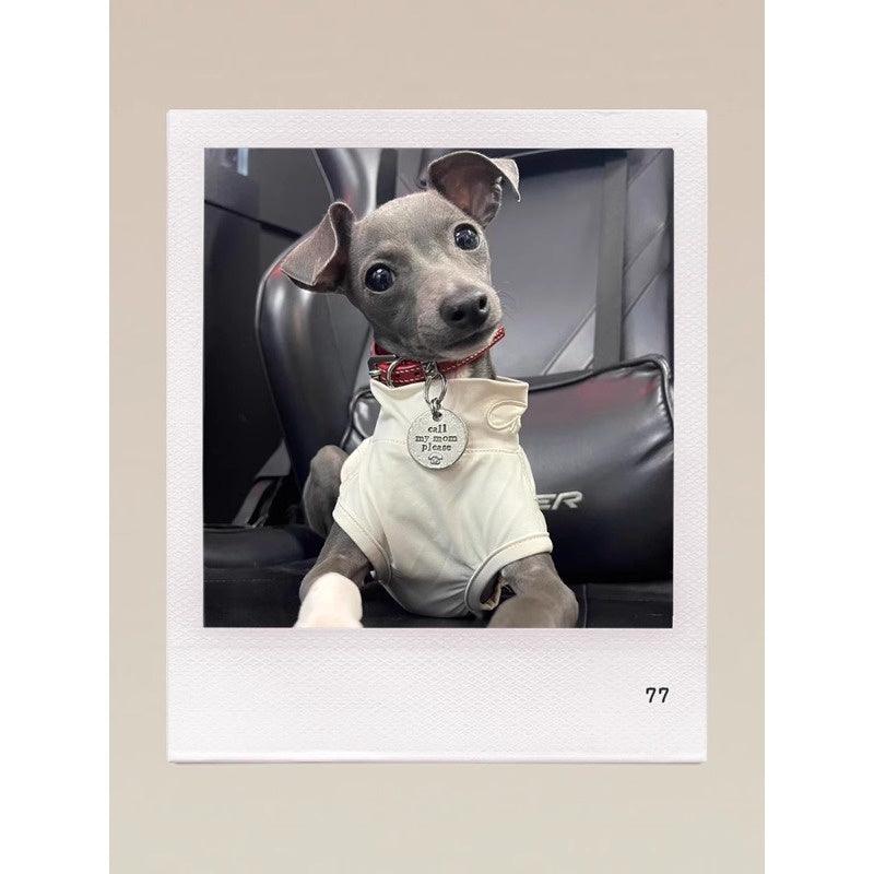 GASU® UPF50+ Cooling Dog Sun Vest - KIKOPALS