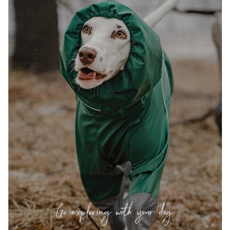 BlackDoggy® Waterproof Dog Raincoat