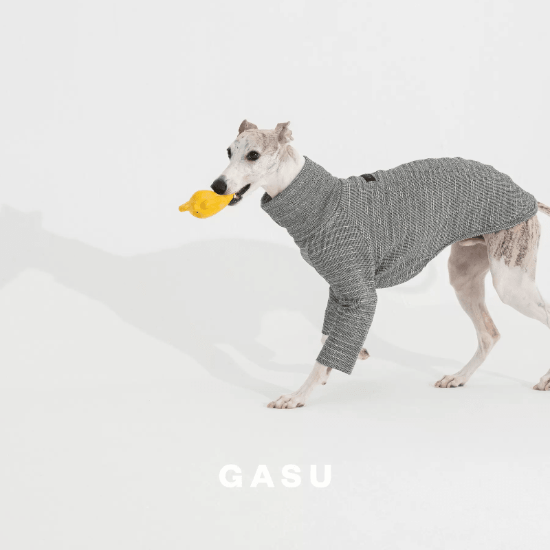 GASU® Grey Slim-Fit Two-Legged Dog Shirt - KIKOPALS