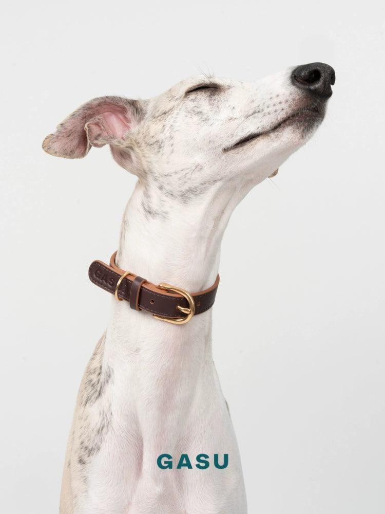 GASU® Soft Italian Leather Pet Collar - KIKOPALS