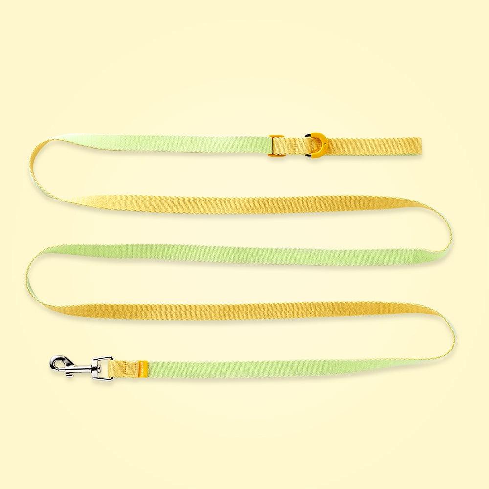 Myfluffy®Pet Leash / Harness - KIKOPALS